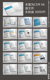 软件公司画册设计图片